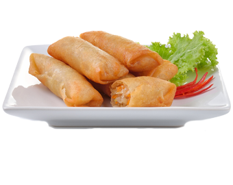 Horeca Vegetarian spring roll