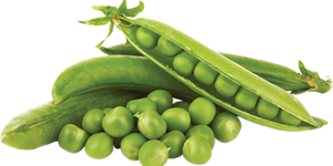 Rau củ đông lạnh - Ưu điểm mà bạn chưa biết.