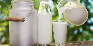 AUSTRALIAN FARMERS MILK - Sữa tươi không thể bỏ lỡ