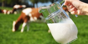 Sữa tươi nguyên kem AUSTRALIAN FARMERS MILK - Giải nhiệt mùa hè