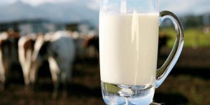 Sữa tươi AUSTRALIAN FARMERS MILK - Dinh dưỡng dành cho bạn