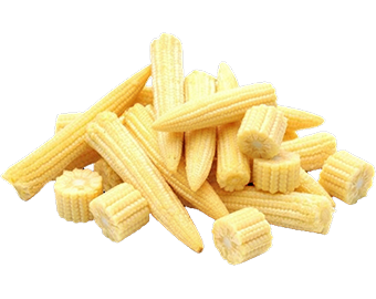 Horeca Bắp non cắt dice